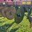 case-ih-730b-ecolo-tiger-ripper-image-12