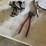 drill-doctor,-fencing-tool,-vice-image-2