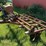 international-vibra-shank-image-3