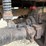 2007-peterbilt-335-image-41