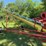 westfield-wr80-61-auger-image-7