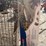 #2131-•-(2)-live-animal-traps-image-3