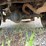 2010-chevrolet-2500-image-44