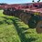 case-ih-730b-ecolo-tiger-ripper-image-14