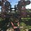 case-ih-200-image-1