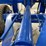 landoll-7831-25-image-16