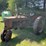 farmall-h-tractor-image-4