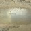 hewitt-robins-22x48-image-92