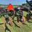 case-ih-730b-ecolo-tiger-ripper-image-23