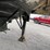 1995-dakota-grain-hopper-trailer-image-16
