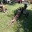 pull-behind-wood-splitter-image-4