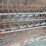 farm-king-10x70-image-9