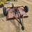 new-idea-452-image-8