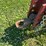 case-ih-730b-ecolo-tiger-ripper-image-9