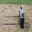 hay-spear-image-1