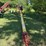 westfield-wr80-61-auger-image-2