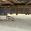 1994-gmc-topkick-image-29