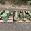 john-deere-71-image-1