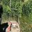 mtd-push-mower-image-1