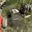 live-trap-image-3