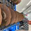 landoll-7831-25-image-47