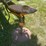 #2164-•-minneapolis-moline-tractor-seat-shop-stool-image-2