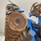 landoll-7831-25-image-45