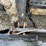 bobcat-t300-image-15