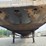 2009-great-dane-53-image-10