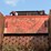 2016-morbark-6600-image-10