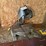 delta-miter-saw-image-1