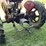 farmall-h-tractor-image-6