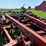 case-ih-730b-ecolo-tiger-ripper-image-34