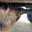 2000-caterpillar-c12-image-39