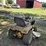 international-cub-image-5