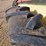hardi-500-image-80