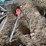 #2290-•-stihl-fs36-weed-wacker-and-dayton-leaf-blower-image-3
