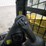 2025-caterpillar-255-image-17