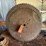 #3359-•-(3)-buzz-saw-blades-image-1