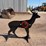 ar500-steel-deer-shooting-target-with-heart-flapper-image-7