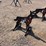 ar500-steel-coyote-shooting-target-with-heart-flapper-image-1
