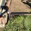 #2099-•-land-pride-8'-blade-image-9