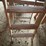 #2323-•-set-of-sawhorses-and-wooden-step-ladder-image-6