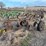 john-deere-pull-type-three-bottom-plow-image-3