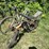 #3299-•-(2)-vintage-bikes-image-1