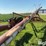 mayrath-grain-auger-w/swing-hopper-image-19