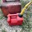 #3343-•-(3)-poly-gas-cans-image-9