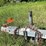 #3221-•-bayliner-capri-5.0l-boat-and-escort-trailer-(no-title)-image-34