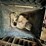 #4010-•-bosch-vac0908-dust-extractor-image-4