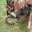 #2265-•-spreader-wagon-image-13